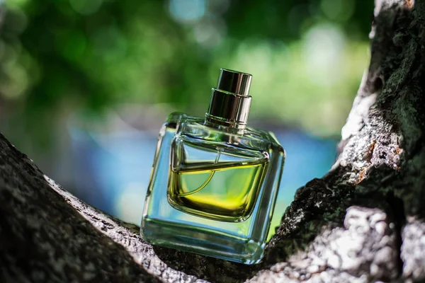 Perfume natural sobre fondo borroso verde — Foto de Stock