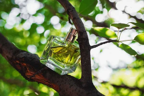 Parfum naturel sur fond vert flou — Photo