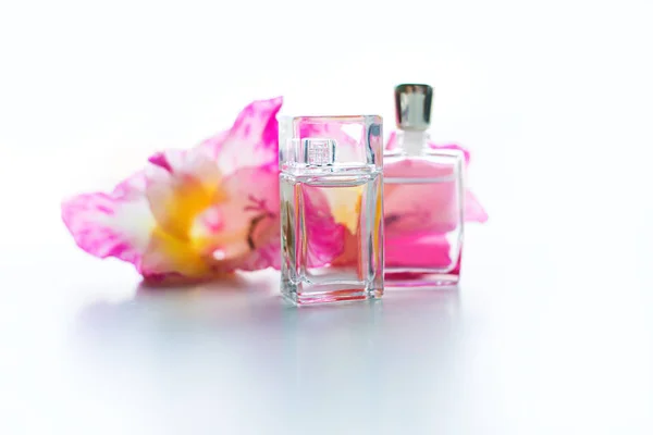 Bottle of women's perfume and a delicate flower on a white backg — Stock Photo, Image