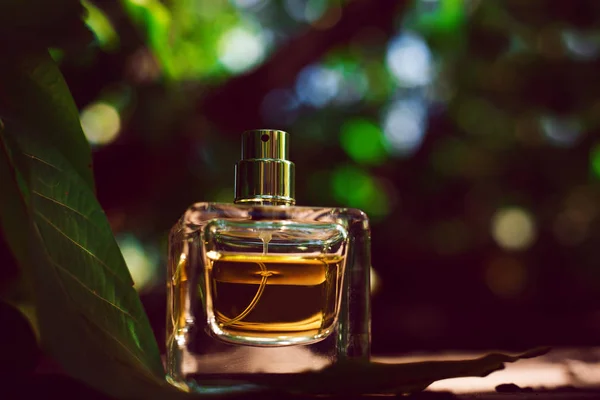 Perfume natural em uma garrafa quadrada em um fundo verde desfocado — Fotografia de Stock