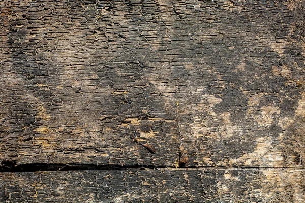 Barna fa textúra természetes mintázatú — Stock Fotó