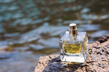 Plajda kayalar üzerinde bulunan parfüm şişesi