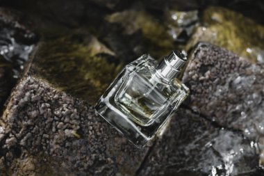 doğa arka plan parfüm şişe 