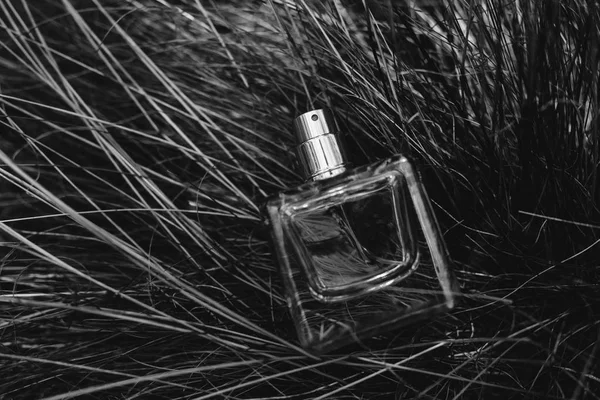 Garrafa de perfume em branco escuro — Fotografia de Stock