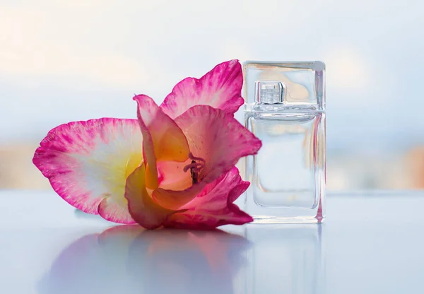 Flakonu kwiatami na jasnym tle. Perfumeria, cosm — Zdjęcie stockowe