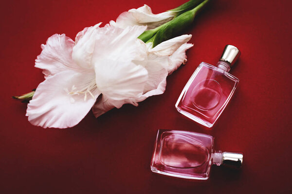 Perfume bottles with flowers on red background. Perfumery, cosme