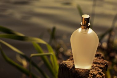 Doğal parfüm şişesi üzerinde arka plan bulanık