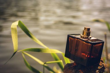 Doğal parfüm şişesi üzerinde arka plan bulanık