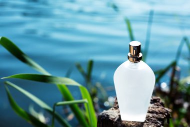 Doğal parfüm şişesi üzerinde mavi bir arka plan bulanık