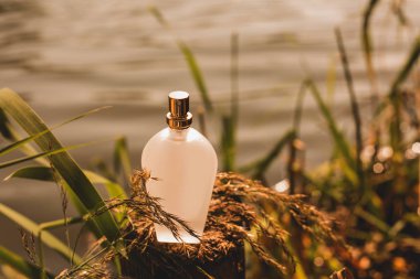 Doğal parfüm şişesi üzerinde mavi bir arka plan bulanık