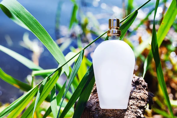 Doğal parfüm şişesi üzerinde mavi bir arka plan bulanık