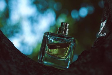 Doğal parfüm şişesi üzerinde arka plan bulanık
