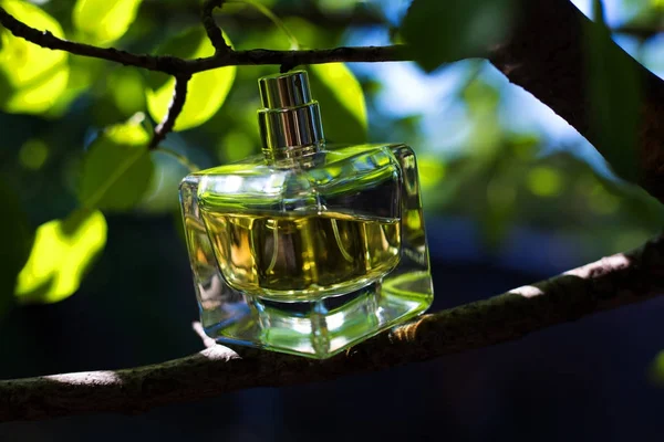 Lahvička parfému nad zeleným pozadím — Stock fotografie