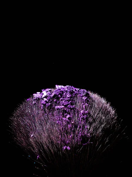 profesyonel fırça özellikle toz ve toz 