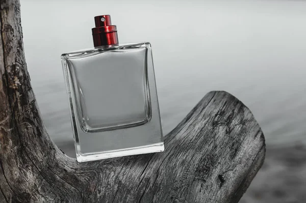 自然の背景で香水のボトル — ストック写真
