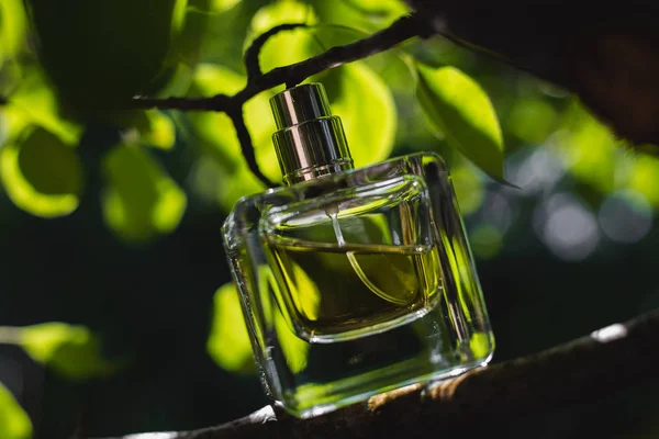 Fles parfum bij natuur achtergrond — Stockfoto