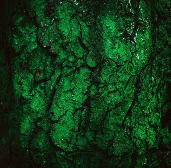 오래 된 녹색 거친 나무 질감 — 스톡 사진