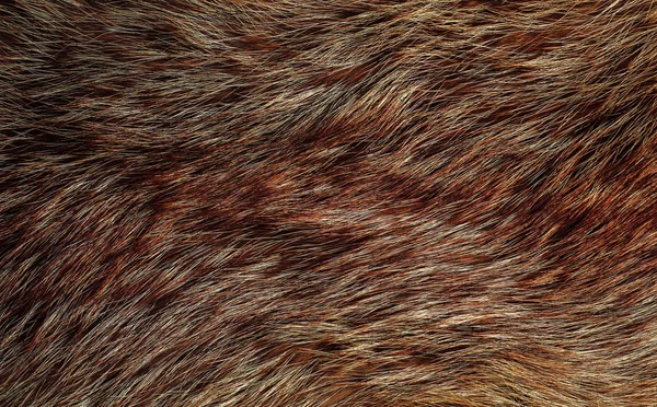 Υφή της κόκκινης αλεπούς γούνας — Φωτογραφία Αρχείου