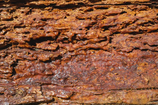 Antigua textura de madera superficie de fondo —  Fotos de Stock