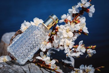 Parfümeri, kozmetik parfüm