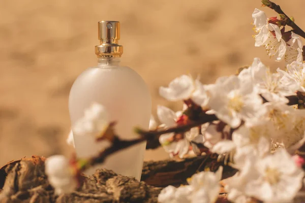 Perfumería, fragancia cosmética — Foto de Stock
