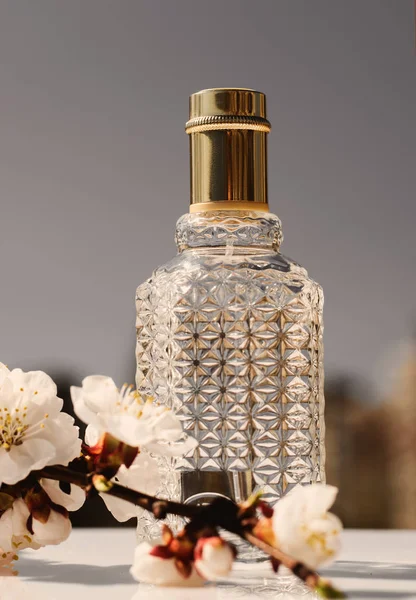 Perfumy, zapach kolekcji — Zdjęcie stockowe