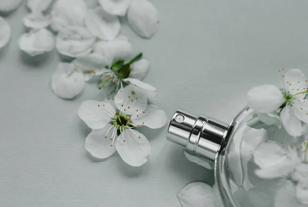 Perfumery, fragrance collection — Stock Photo, Image