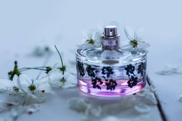 Perfumery, fragrance collection — Stock Photo, Image