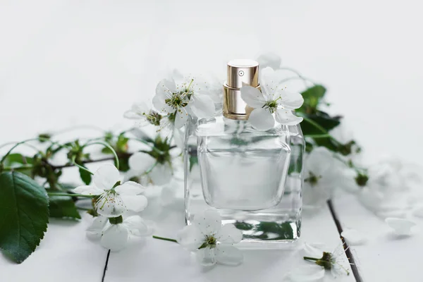 Parfumerie, geur collectie — Stockfoto