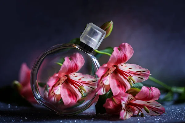 Perfumaria, colecção de fragrâncias — Fotografia de Stock