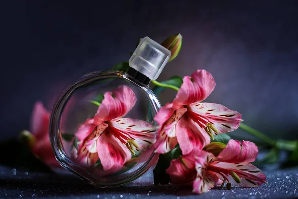 Perfumery, fragrance collection — Stock Photo, Image