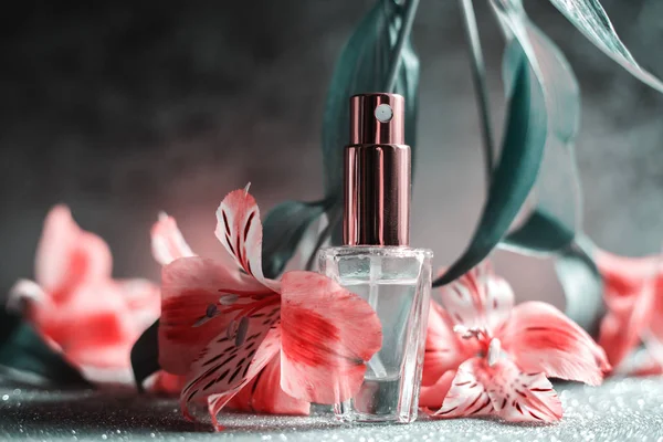 Perfumería, colección de fragancias —  Fotos de Stock