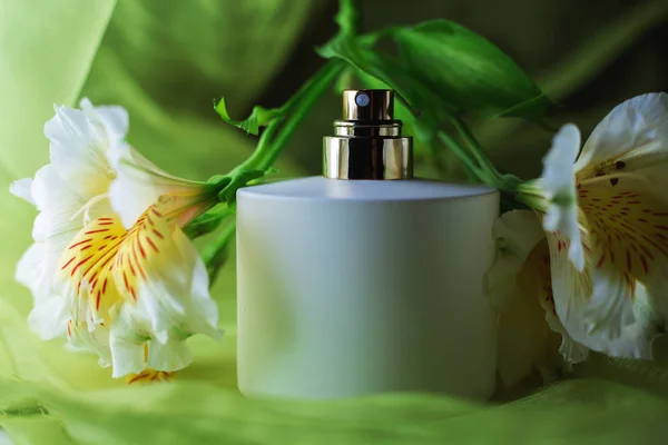 Perfumería, colección de fragancias — Foto de Stock