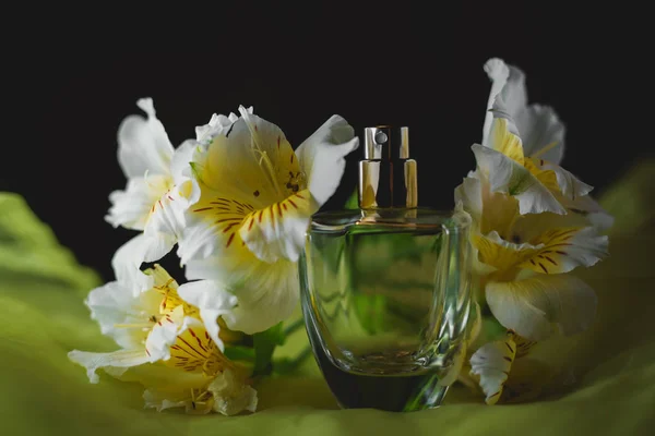 Parfumerie, colecție de parfumuri — Fotografie, imagine de stoc