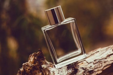 Doğa arka plan üzerinde parfüm 