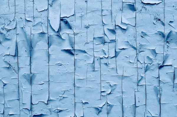 Grunge peeling blue paint wood texture. Classic blue color of th — Stockfoto