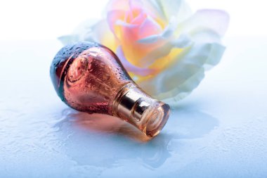 Mavi arkaplanda gül olan parfüm