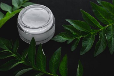 Siyah arkaplan üzerinde doğal kozmetik ve yeşil yapraklar