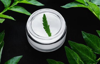 Bir kavanoz nemlendirici beyaz krema ve yeşil yaprak.. 