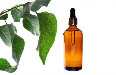 Serum için cam şişe ya da arka planda gerekli yağ ve yeşil yaprak. 