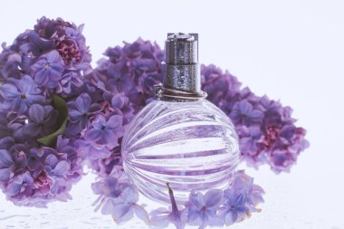 açık arkaplanda leylak çiçekleri olan ıslak parfüm