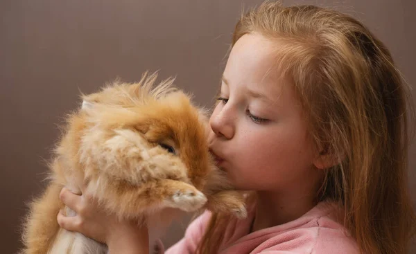 Redhead girl child kisses a rabbit. Love to the animals