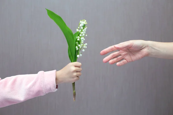 Madre Figlio Consegnare Fiore Prugna — Foto Stock