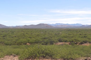 Arizona 'nın güneydoğu köşesindeki San Bernardino Ulusal Vahşi Yaşam Sığınağı' ndaki tipik manzara.