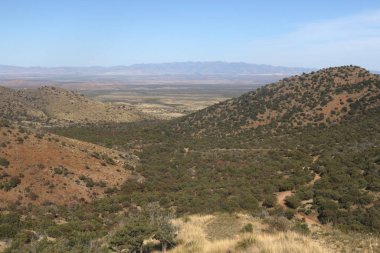 Güney Arizona 'daki Coronado Ulusal Ormanı' nda Middlemarch Yolu.