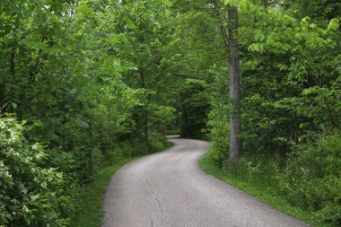 North Chagrin Reservation, Cleveland, Ohio 'daki sahne yolu.