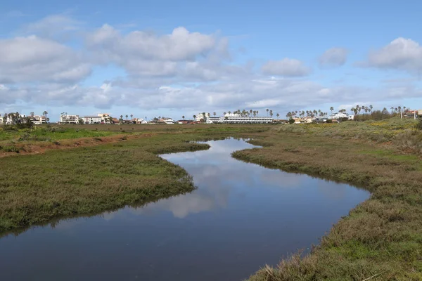 Tijuana Slough Ulusal Vahşi Yaşam Sığınağı, San Diego, Kaliforniya