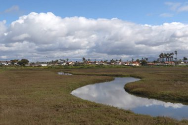 Tijuana Marsh Ulusal Vahşi Yaşam Sığınağı, San Diego, Kaliforniya