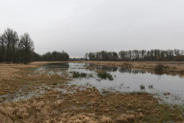 Humedal Ridgefield National Wildlife Refuge Washington — Foto de Stock