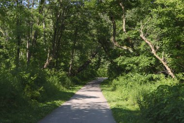Ohio ve Erie Canal Towpath Patikası İstasyon Köprüsü yakınında, Cuyahoga Vadisi Ulusal Parkı, Ohio